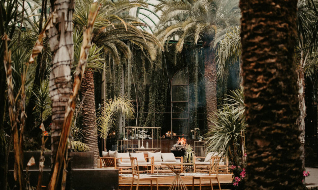 Lounge-Bereich im Freien mit Sofas und Stühlen, umgeben von Palmen und üppigem Grün.