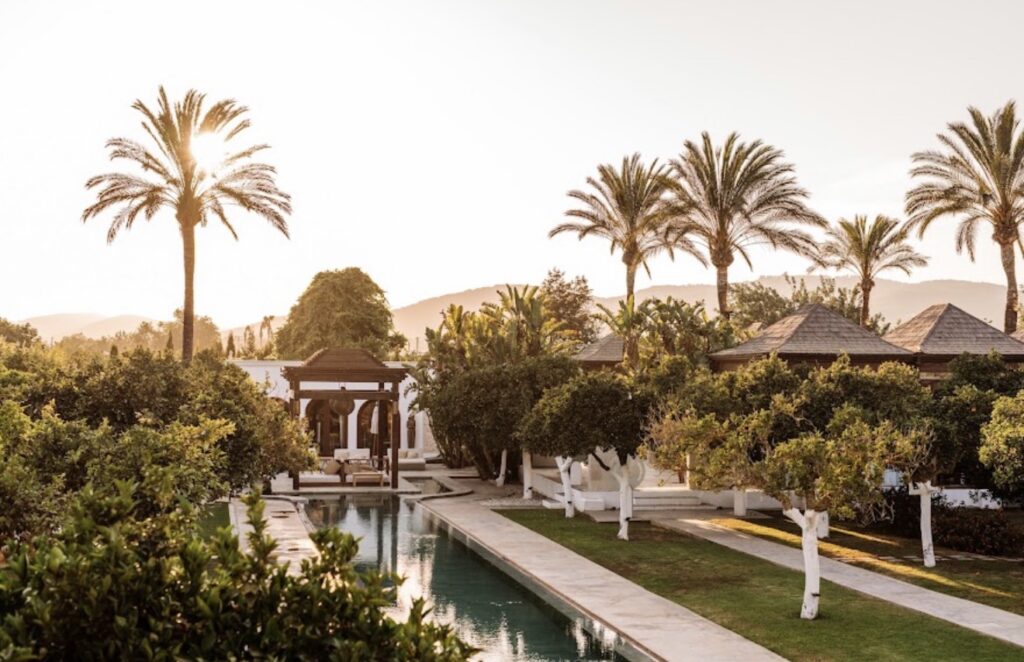 A long pool at sunset – a luxurious setting for a wedding at the destination, surrounded by palm trees.